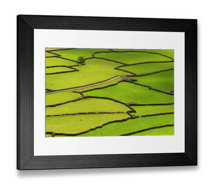 Framed Print : Wasdale Head from Kirk Fell, stone walls, livestock and ancient field patterns, The Lake District, Cumbria, UK. April Framed Print : Wasdale Head from Kirk Fell, stone walls, livestock and ancient field patterns, The Lake District, Cumbria, UK. April