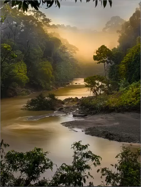 Dawn  /  sunrise over the Segama River, with mist hanging over lowland Dipterocarp rainforest