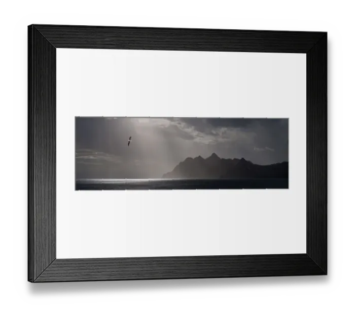 Framed Print : RF - Wandering albatross (Diomedea exulans) flying over the rugged coast of South Georgia Framed Print : RF - Wandering albatross (Diomedea exulans) flying over the rugged coast of South Georgia