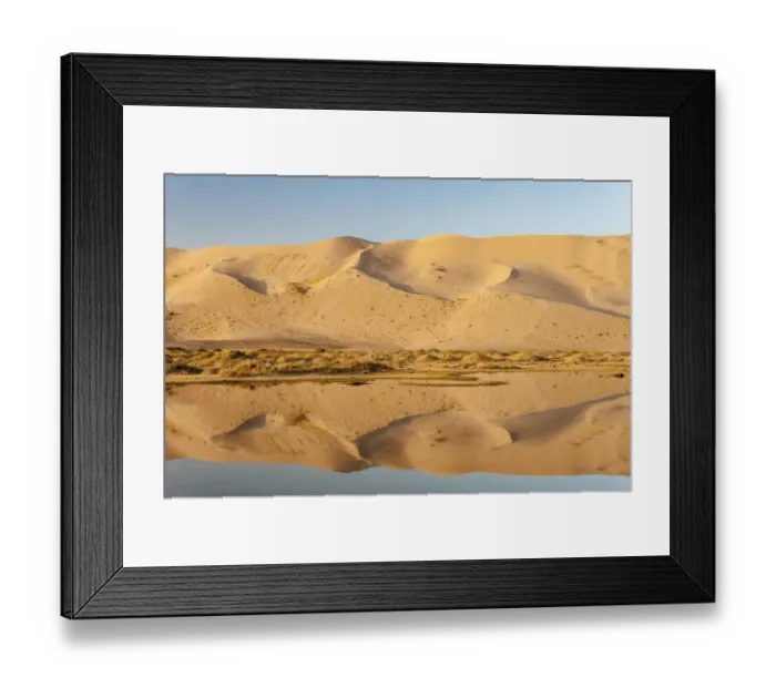 Framed Print : Khongoryn Els sand dunes and reflection in pond, South Gobi desert. Mongolia Framed Print : Khongoryn Els sand dunes and reflection in pond, South Gobi desert. Mongolia