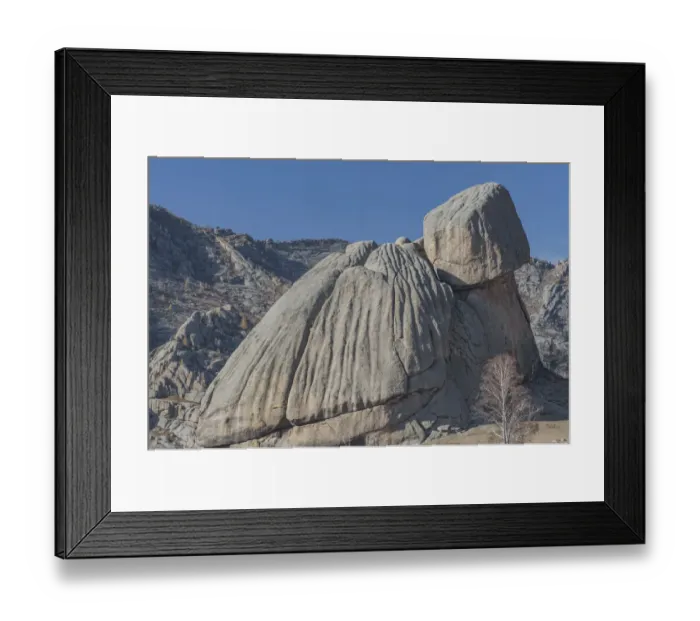 Framed Print : Turtle rock, Terelj National Park, (Larch National Park). Mongolia. October 2008 Framed Print : Turtle rock, Terelj National Park, (Larch National Park). Mongolia. October 2008