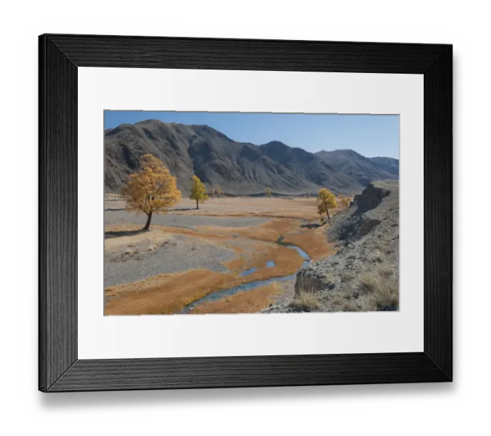 Framed Print : Autumn colour along meandering river bank, River Khovd, Altai Mountains, Bayan-Ulgii