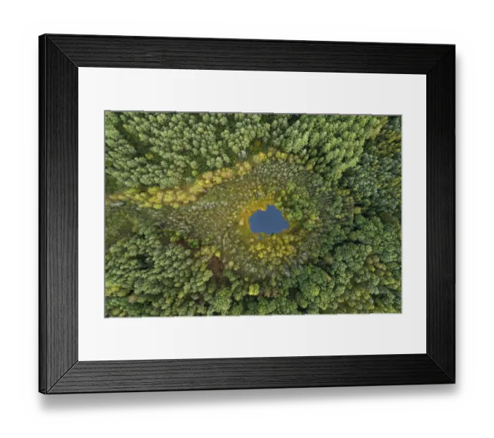Framed Print : Aerial view of dystrophic forest lake surrounded by peatbog Framed Print : Aerial view of dystrophic forest lake surrounded by peatbog