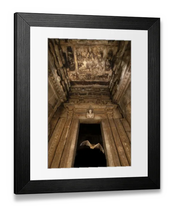 Framed Print : Naked-rumped tomb bats (Taphazhopus theobaldi), flying out of Garbhgriha stone carved Framed Print : Naked-rumped tomb bats (Taphazhopus theobaldi), flying out of Garbhgriha stone carved