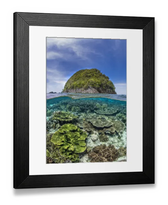 Framed Print : Split level with Table corals (Acropora spp. ) growing close to an island Framed Print : Split level with Table corals (Acropora spp. ) growing close to an island