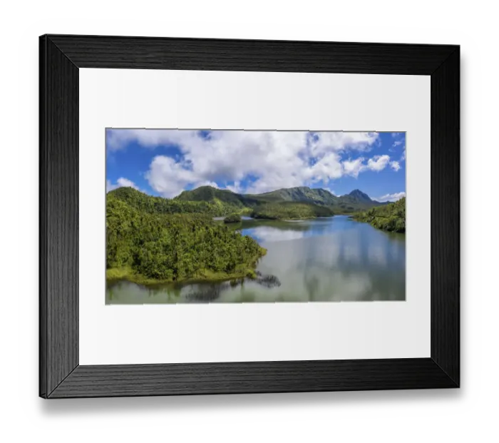 Framed Print : Cloud forest on mountains surrounding Freshwater Lake at approximately 2500 feet Framed Print : Cloud forest on mountains surrounding Freshwater Lake at approximately 2500 feet