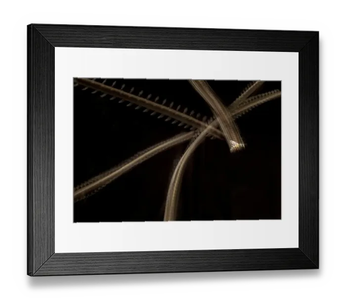 Framed Print : Honey bee (Apis mellifera) approaching hive entrance, with trails of departing bees Framed Print : Honey bee (Apis mellifera) approaching hive entrance, with trails of departing bees