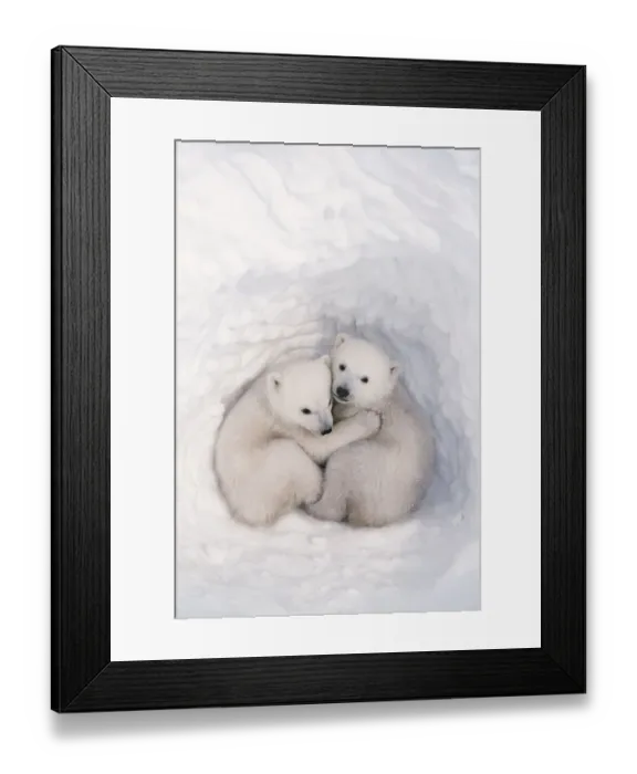 Framed Print : Polar bear (Ursus maritimus) cubs, age 2-3 months, in den, Wapusk National Park, Manitoba Framed Print : Polar bear (Ursus maritimus) cubs, age 2-3 months, in den, Wapusk National Park, Manitoba