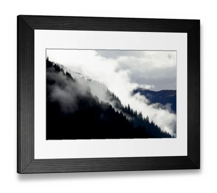 Framed Print : Coniferous forest on mountainside in fog. Kham Mountains, Tibet. October 2016 Framed Print : Coniferous forest on mountainside in fog. Kham Mountains, Tibet. October 2016