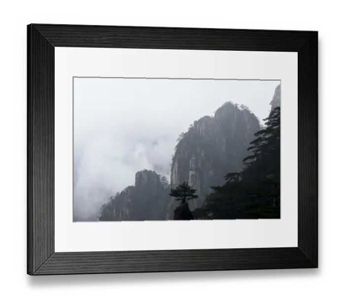Framed Print : Conifers on peaks of Huangshan Mountains, in fog. Anhui Province, China. 2016 Framed Print : Conifers on peaks of Huangshan Mountains, in fog. Anhui Province, China. 2016