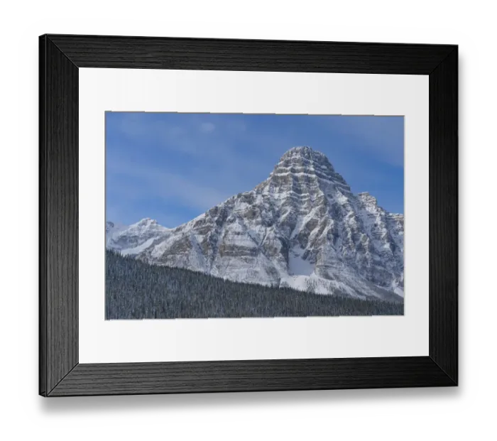 Framed Print : Snow covered Mount Chephren, coniferous forest below. Banff National Park, Alberta Framed Print : Snow covered Mount Chephren, coniferous forest below. Banff National Park, Alberta