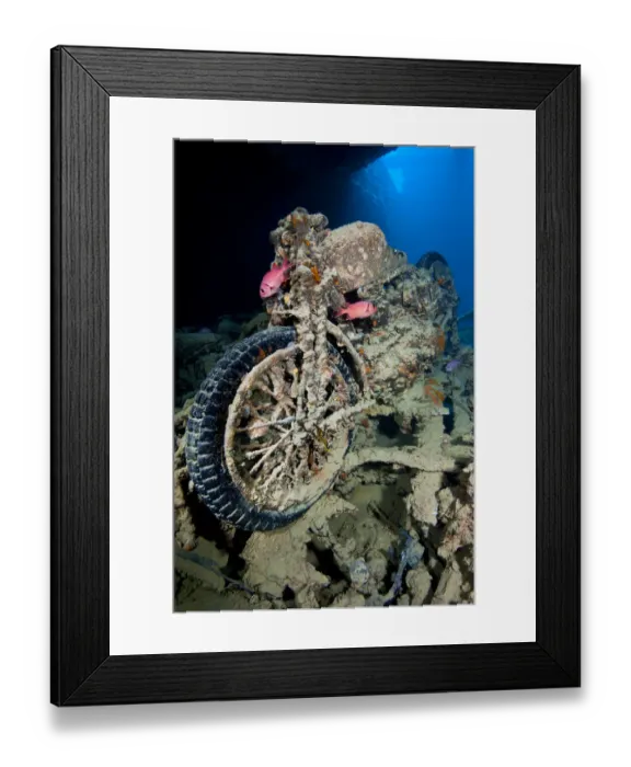 Framed Print : British World War II BSA M20 motorbike inside Hold 2 of wreck of HMS Thistlegorm Framed Print : British World War II BSA M20 motorbike inside Hold 2 of wreck of HMS Thistlegorm