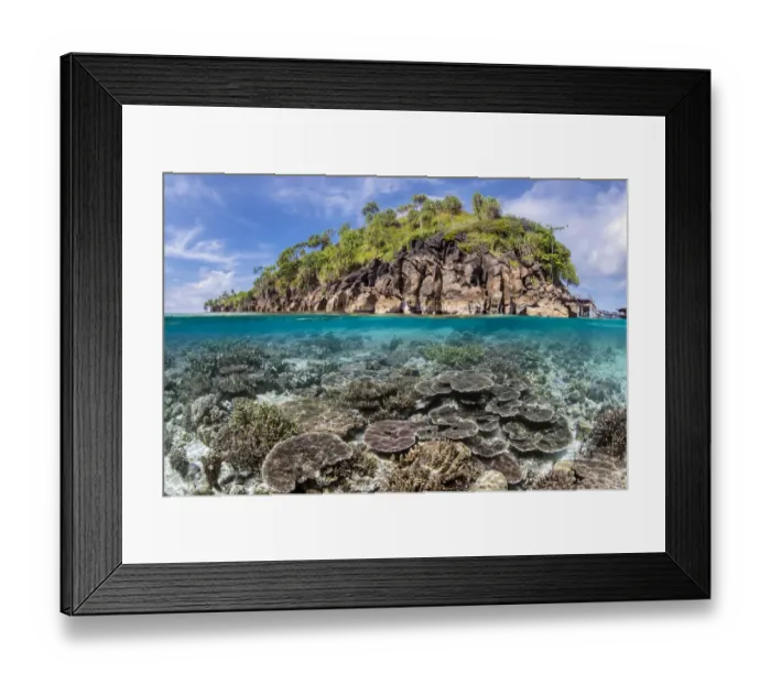 Framed Print : Split level image of a hard coral garden (Acropora spp. ) in front of a tropical island