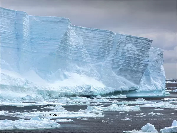 Tabular iceberg floating in Weddell Sea, iceberg broken away from Larson C ice shelf