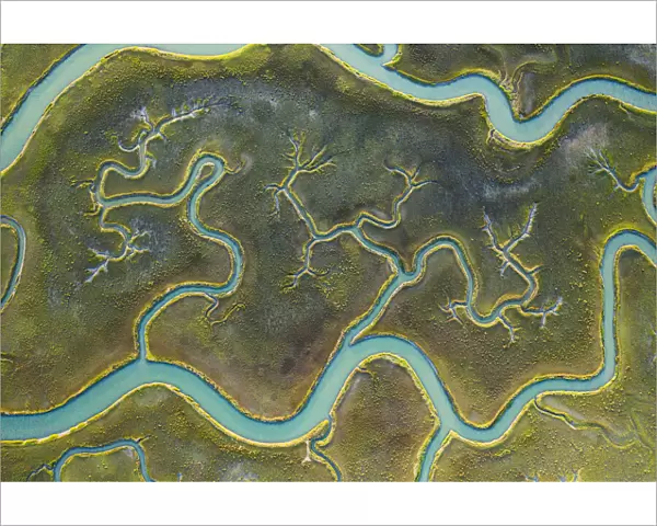 Aerial view of tidal channels in marshland. Mockhorn Island State Wildlife Management