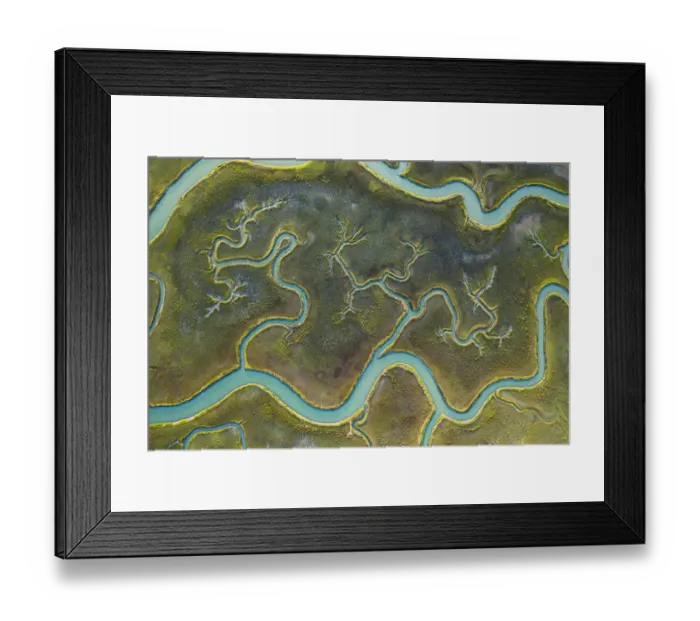 Framed Print : Aerial view of tidal channels in marshland. Mockhorn Island State Wildlife Management Framed Print : Aerial view of tidal channels in marshland. Mockhorn Island State Wildlife Management