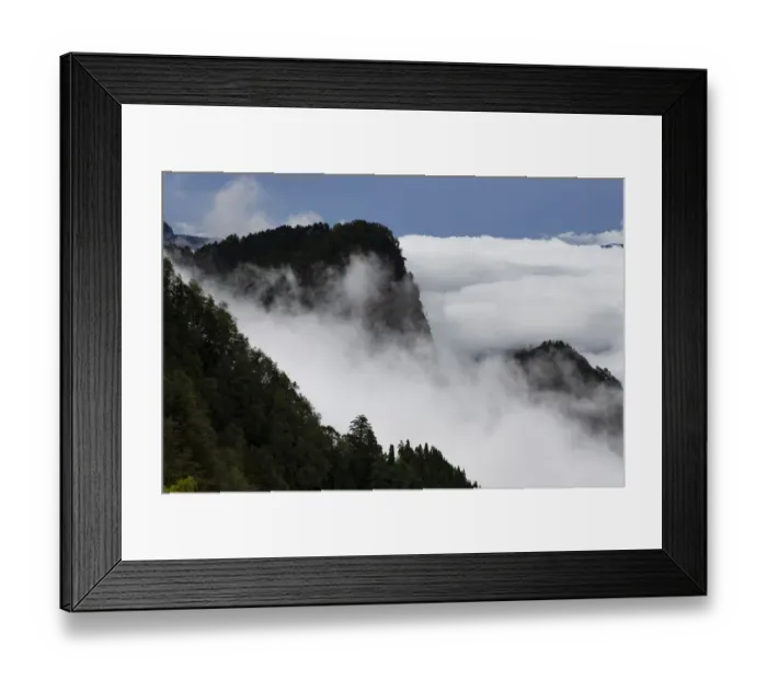 Framed Print : Misty mountains, Alishan National Recreational Forest, Taiwan Framed Print : Misty mountains, Alishan National Recreational Forest, Taiwan