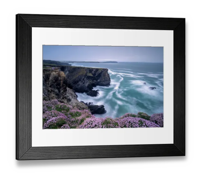Framed Print : Sea pink (Armeria maritima) on cliffs at Longcarrow Cove, view along coastline towards Trevose Head. Near Trevone, Cornwall, England, UK. May 2020 Framed Print : Sea pink (Armeria maritima) on cliffs at Longcarrow Cove, view along coastline towards Trevose Head. Near Trevone, Cornwall, England, UK. May 2020