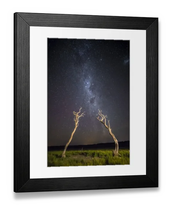 Framed Print : Dead trees and milky way, La Pampa, Patagonia, Argentina Framed Print : Dead trees and milky way, La Pampa, Patagonia, Argentina