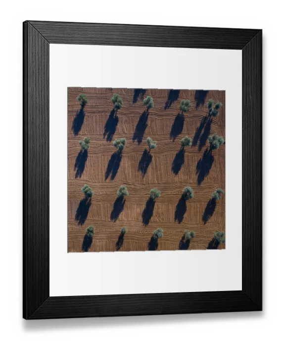 Framed Print : Aerial view of plowed olive tree field, Toledo, Castilla-La Mancha, Spain