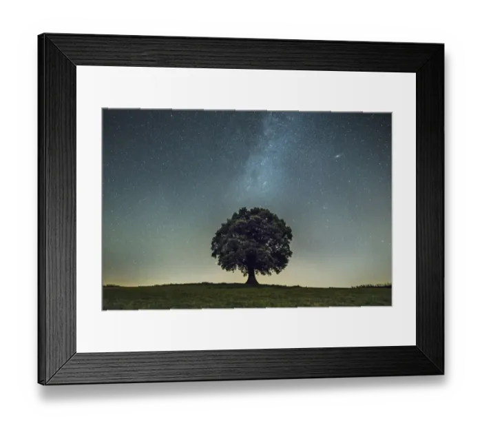 Framed Print : English oak tree (Quercus robur) under stars of the Milk Way Framed Print : English oak tree (Quercus robur) under stars of the Milk Way