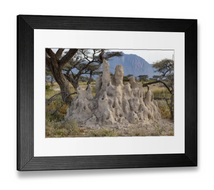 Framed Print : Termite hill and acacia tree, Shaba National Reserve, North Kenya Framed Print : Termite hill and acacia tree, Shaba National Reserve, North Kenya