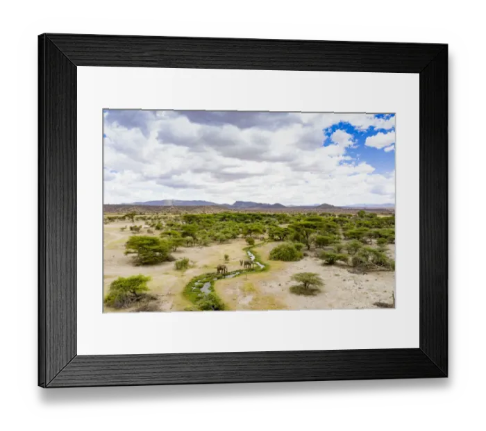 Framed Print : Aerial view of African elephants (Loxodonta africana) drinking and landscape Framed Print : Aerial view of African elephants (Loxodonta africana) drinking and landscape