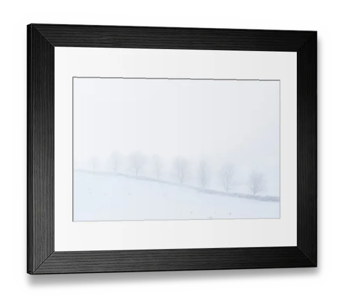 Framed Print : Dry stone wall and trees on misty snowy day, Northumberland National Park in winter, UK, January Framed Print : Dry stone wall and trees on misty snowy day, Northumberland National Park in winter, UK, January
