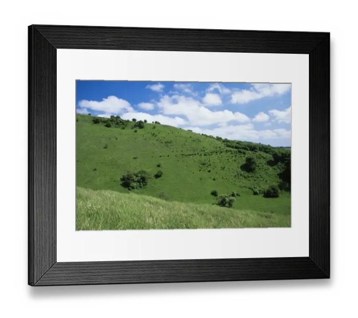 Framed Print : Wye Down NNR, Chalk downland, Kent, UK Framed Print : Wye Down NNR, Chalk downland, Kent, UK