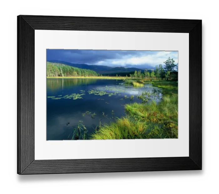 Framed Print : Glen Feshie, Cairngorm NP, Highland, Scotland, UK Framed Print : Glen Feshie, Cairngorm NP, Highland, Scotland, UK