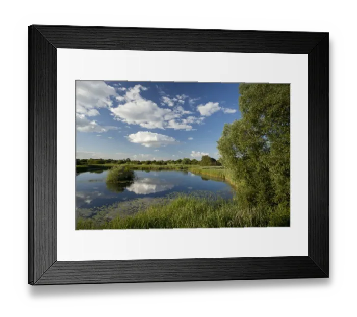Framed Print : Wetland landscape, Woodwalton Fen National Nature Reserve, Cambridgeshire, England, UK Framed Print : Wetland landscape, Woodwalton Fen National Nature Reserve, Cambridgeshire, England, UK