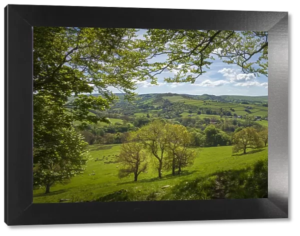 View from edge of woodlands near Pott Shrigley, Peak District National Park, Cheshire, UK