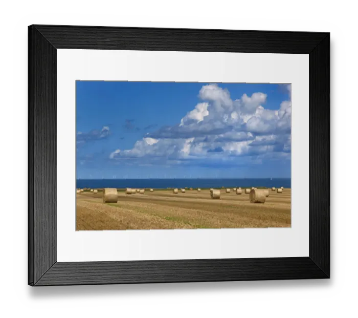 Framed Print : Straw bales and field of stubble, Weybourne, Norfolk, UK August 2014 Framed Print : Straw bales and field of stubble, Weybourne, Norfolk, UK August 2014