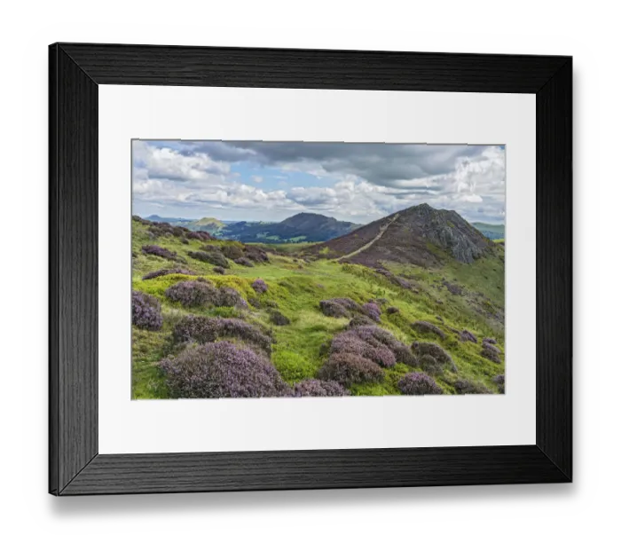 Framed Print : View from Long Mynd with Bodbury Hill in the foreground and Caer Caradoc Hill Framed Print : View from Long Mynd with Bodbury Hill in the foreground and Caer Caradoc Hill