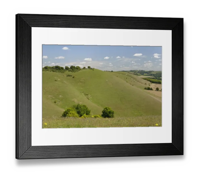 Framed Print : Pewsey Downs and the Vale of Pewsey, viewed from Knap Hill in summer, near Devizes Framed Print : Pewsey Downs and the Vale of Pewsey, viewed from Knap Hill in summer, near Devizes