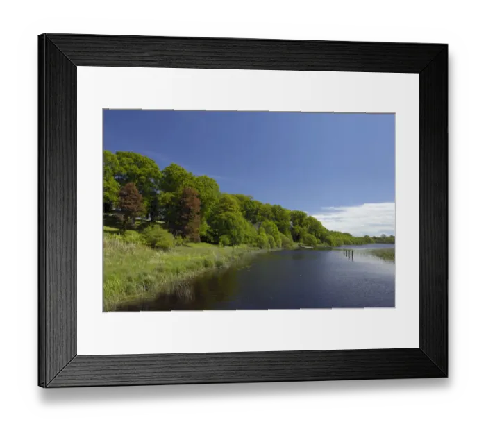 Framed Print : Oak woodland beside water, Crom Castle Estate, County Fermanagh, Northern Ireland, UK Framed Print : Oak woodland beside water, Crom Castle Estate, County Fermanagh, Northern Ireland, UK