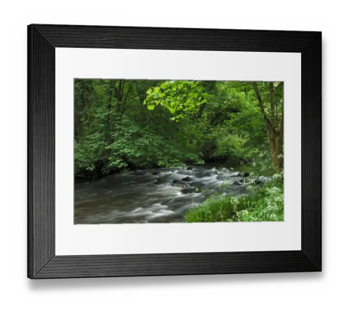 Framed Print : River Cusher flowing through woodland, Clare Glen, County Armagh, Northern Ireland, UK Framed Print : River Cusher flowing through woodland, Clare Glen, County Armagh, Northern Ireland, UK