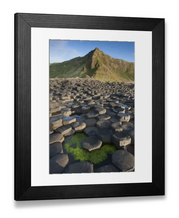Framed Print : Giants Causeway, looking in to land, Causeway coast, Antrim county, Northern Ireland Framed Print : Giants Causeway, looking in to land, Causeway coast, Antrim county, Northern Ireland