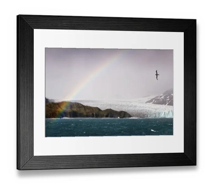 Framed Print : rainbow, Fortuna Bay, South Georgia. (digitally stitched image) similar to 01296715 Framed Print : rainbow, Fortuna Bay, South Georgia. (digitally stitched image) similar to 01296715
