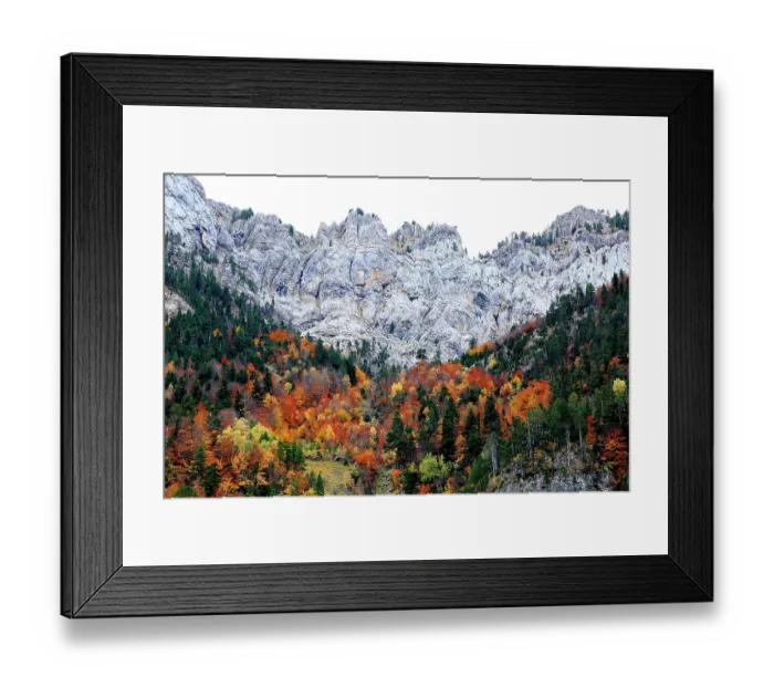 Framed Print : Autumnal trees growing in steep gorge, Ordesa y Monte Perdido National Park, Huesca, Spain, October Framed Print : Autumnal trees growing in steep gorge, Ordesa y Monte Perdido National Park, Huesca, Spain, October