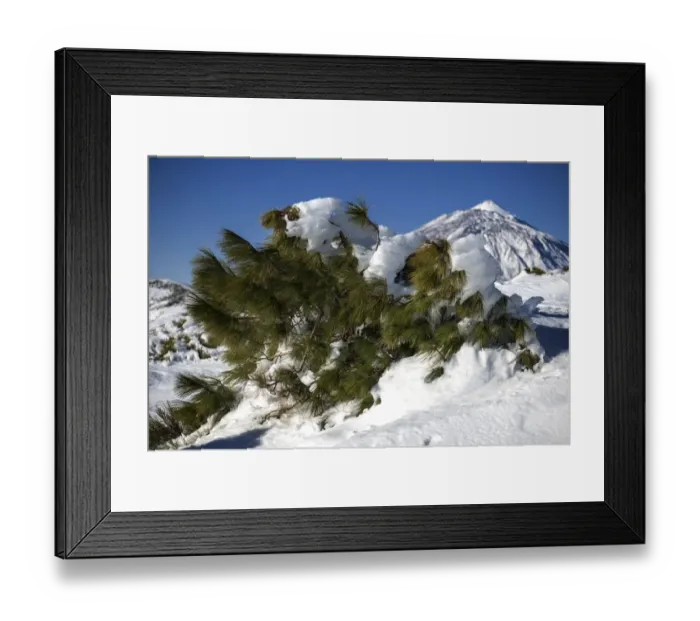 Framed Print : Snowy landscape on Mount Teide, Teide National Park, UNESCO World Heritage Site, Tenerife Framed Print : Snowy landscape on Mount Teide, Teide National Park, UNESCO World Heritage Site, Tenerife