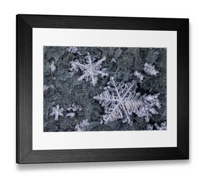 Framed Print : Close up of snowflakes surrounded by frost on a car window early in the morning Framed Print : Close up of snowflakes surrounded by frost on a car window early in the morning
