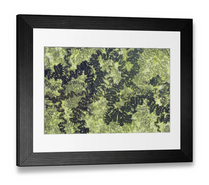 Framed Print : Feeding trails from Common snails (Helix aspersa) grazing algae growing on black paint Framed Print : Feeding trails from Common snails (Helix aspersa) grazing algae growing on black paint