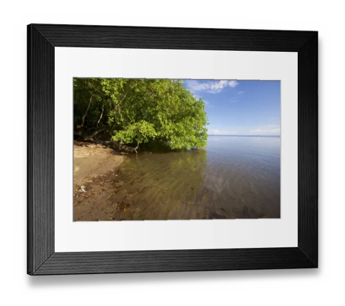 Framed Print : Forested coastline of the Willaumez Peninsula, New Britain, Papua New Guinea, December Framed Print : Forested coastline of the Willaumez Peninsula, New Britain, Papua New Guinea, December