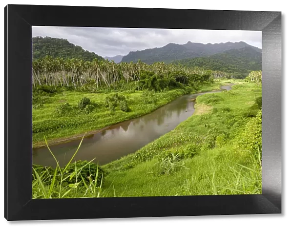 Mountain stream, palm trees and thick jungle in uplands, Vanua Levu Island, Fiji
