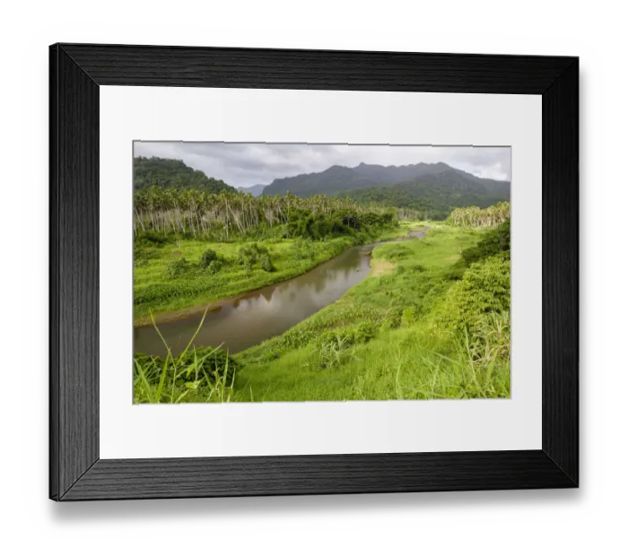 Framed Print : Mountain stream, palm trees and thick jungle in uplands, Vanua Levu Island, Fiji Framed Print : Mountain stream, palm trees and thick jungle in uplands, Vanua Levu Island, Fiji