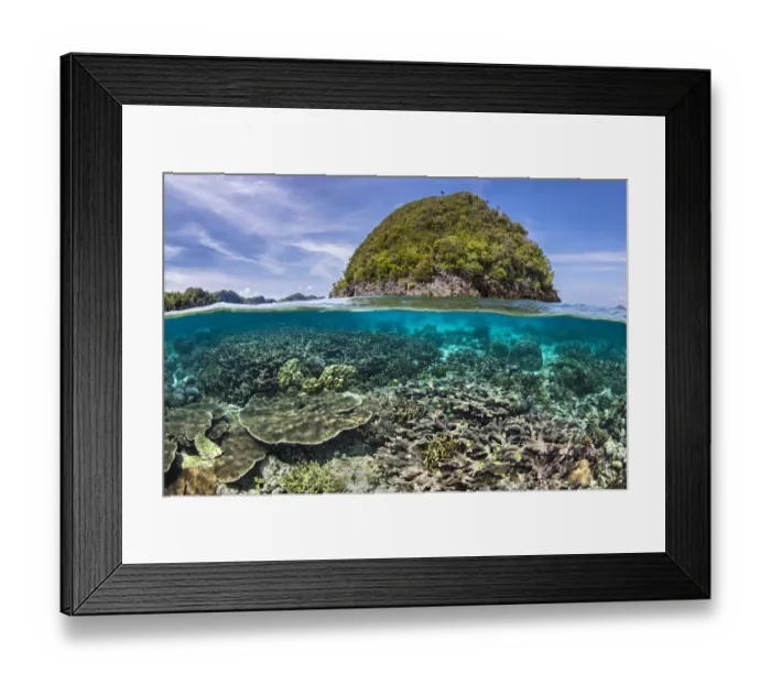 Framed Print : Split level with table corals (Acropora spp. ) growing close to an island Framed Print : Split level with table corals (Acropora spp. ) growing close to an island