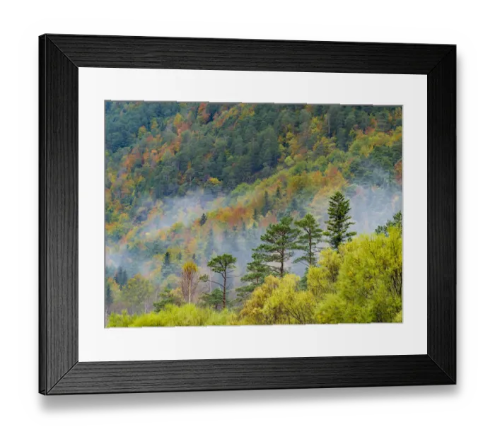 Framed Print : Mixed decidious forest, autumm, Ordesa National Park, Aragon, Pyrenees, Spain Framed Print : Mixed decidious forest, autumm, Ordesa National Park, Aragon, Pyrenees, Spain