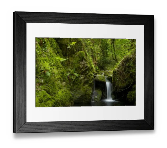 Framed Print : Montseny brook newt (Calotriton arnoldi) habitat, Montseny Natural Park, Barcelona, Spain Framed Print : Montseny brook newt (Calotriton arnoldi) habitat, Montseny Natural Park, Barcelona, Spain