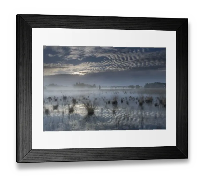 Framed Print : Landscape of fen and clouds, Klein Schietveld, Brasschaat, Belgium, May 2021 Framed Print : Landscape of fen and clouds, Klein Schietveld, Brasschaat, Belgium, May 2021